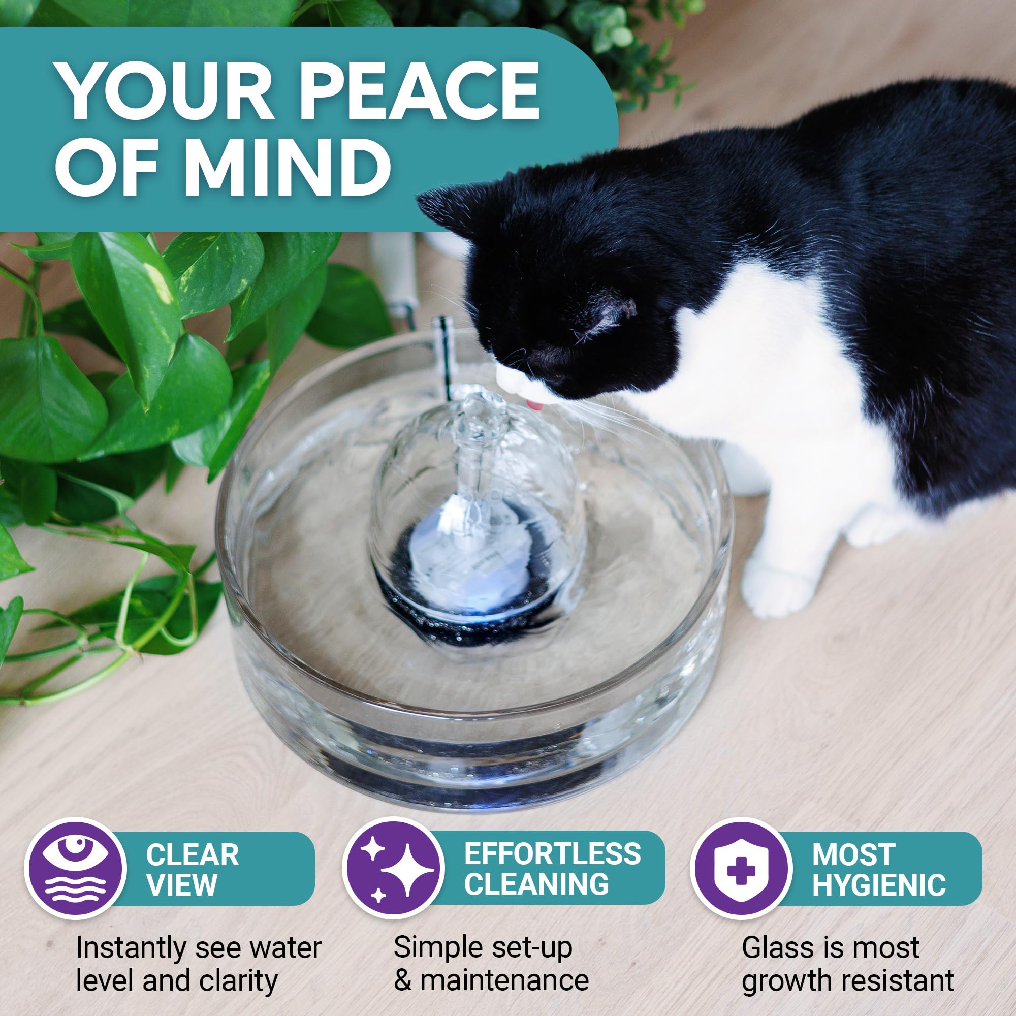 Brook Glass Pet Fountain (90Oz/2.7L) - Cat Water Fountain & Small Dog Drinking Fountain - Automatic Water Dispenser Cat Fountain
